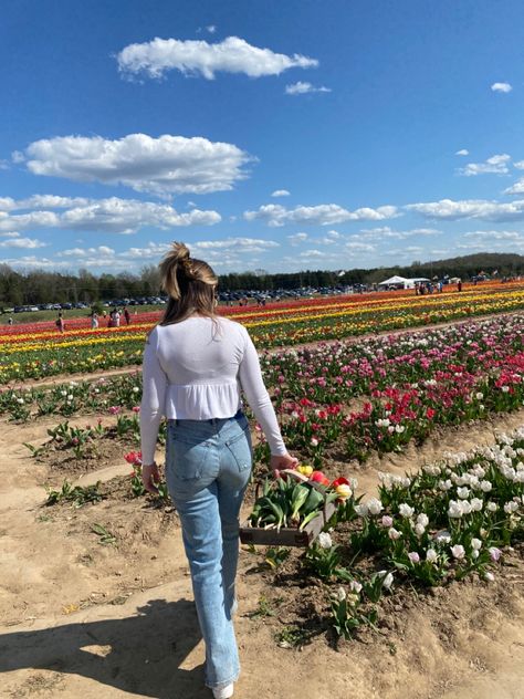 #spring #springtime #tulips #colorful #flowers #picking #tulip #farmersmarket #floral #instagood Tulip Farm Outfit Cold, Tulip Farm Pictures, Tulip Picking Outfit, Tulip Farm Outfit, Tulip Picking, Tulips Colorful, Farm Outfit, Single Poses, Dutch Wooden Shoes