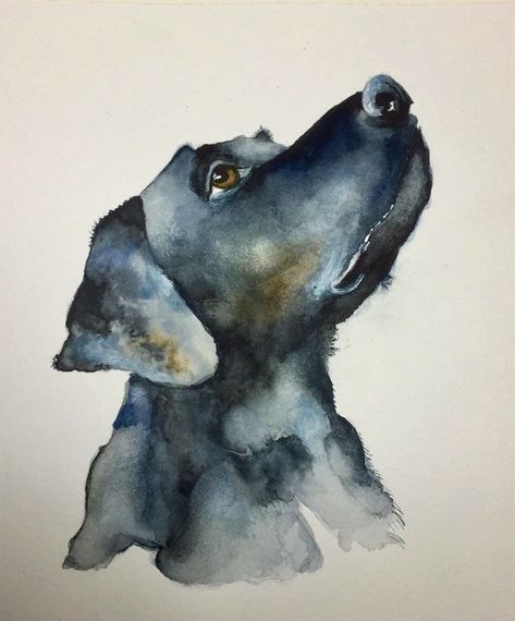 Black Dog Watercolor Painting, Black Dog Watercolor, Black Lab Watercolor, Van Wallpaper, Painting Clipart, Dogs Watercolor, Watercolor Dogs, Dog Watercolor Painting, Dog Portraits Art