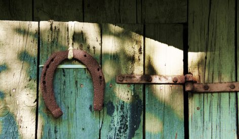 The Symbolic Meaning of Hanging a Horseshoe in Your Doorway Studio Fashion Photography, Well And Good, Lucky Horseshoe, Horse Pictures, Curb Appeal, Rainbow Colors, Good Luck, Dinner Party, Door Decorations