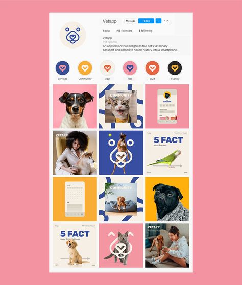 Vetapp | Pets Veterinary Passport - Brand Identity :: Behance Pet Store Ideas, Pet Food Packaging, Pet Branding, Instagram Branding Design, Adobe Design, Healthy Dog Treats Homemade, Disney Frozen Elsa Art, Animal Help, Pet Businesses