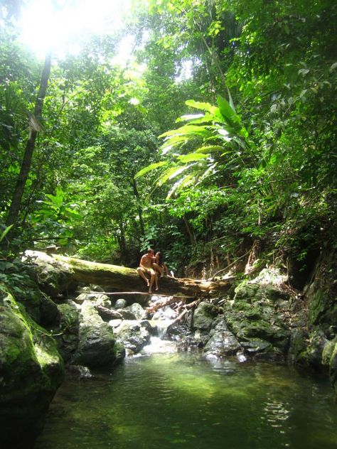 Jungle Couple Aesthetic, Jungle Shoot, Rainforest Aesthetic, Jungle Camping, Soul Partner, Seasonal Pictures, Island Couple, Peru Amazon, Wood Snake