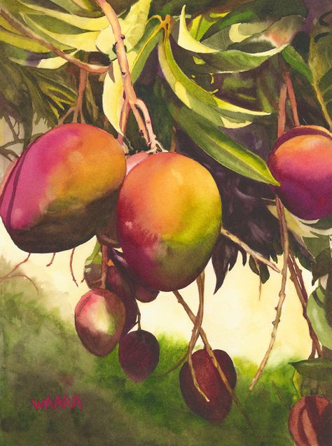 Original watercolor painting titled "Mango Tango" of mangos dancing in a tree here on Maui Willow Tree Tattoos, Mango Tango, Tree Watercolor, Mango Tree, Watercolor Fruit, Artist Custom, Watercolor Ideas, Fruit Painting, Tree Photography