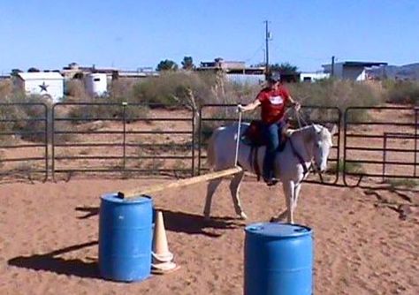 Horse Obstacles, 4h Ideas, Horse Training Exercises, Horse Lessons, Horse Arena, Course Ideas, Horse Exercises, Horse Games, Horse Ideas