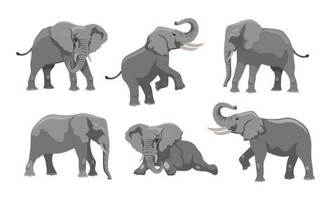 Elephant Illustration Design, Elephant Illustration Art, Elephants Illustration, Elephant Anatomy, Elephant Vector, Running Illustration, Elephant Cartoon, Background Animal, Elephants Playing