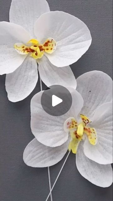 Wafer Paper Orchid Tutorial, Wafer Paper Flowers Template, Wafer Paper Flowers Cake, Wafer Paper Wedding Cake, Ukrasavanje Torti, Wafer Paper Tutorial, Orchid Cake, Wafer Paper Flowers, Wafer Paper Cake