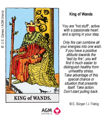 King of Wands King Of Wands Tarot, Queen Of Wands, King Of Wands, Tarot Interpretation, Learn Tarot, Wands Tarot, Tarot Magic, Tarot Guide, Tarot Tips