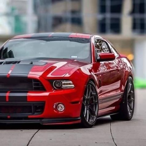 Super Snake, Ford Mustang Cobra, Ford Mustang Car, Ford Mustang Shelby Gt500, Mustang Cobra, Shelby Gt, Ford Classic Cars, Shelby Gt500, Ford Mustang Shelby