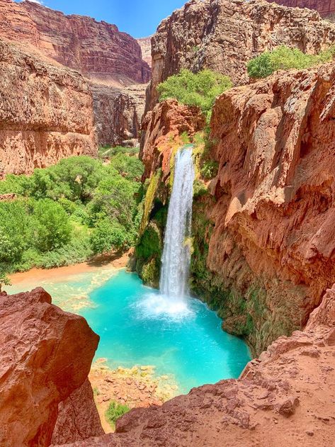 Havasu Falls, Desert Environment, Desert Oasis, Landscape Photographers, July 4th, Land Scape, Dream Vacations, In The Middle, The Great Outdoors