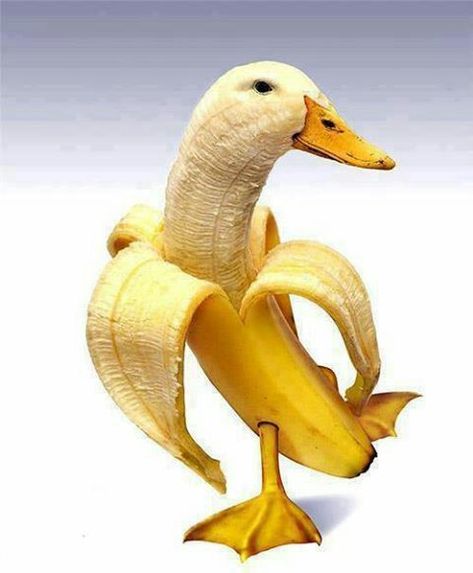 Pin on meme :v Banana Duck, Random Images, So Funny, Food Art, Funny, Art