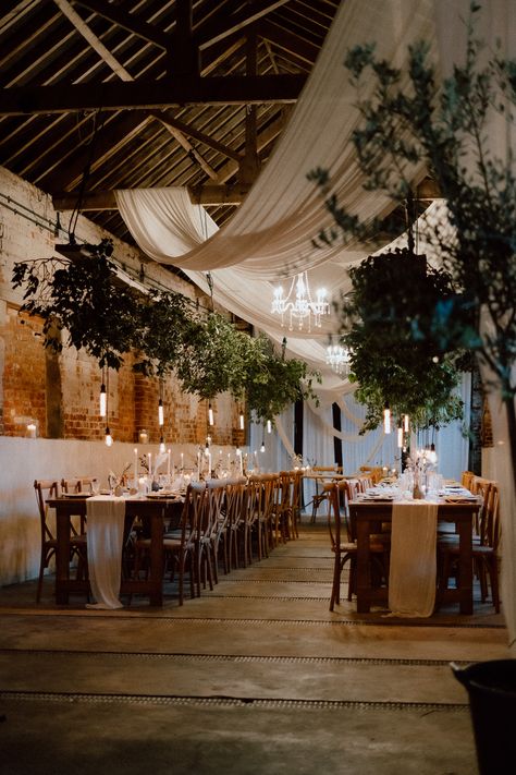 This is showing a barn wedding dining area. The overall vibes are rustic luxury. On the ceiling are white drapes hanging across the ceiling, directly above the wooden long dining tables are hanging boards with ivy on them. On the tables are white table runners, vases, candlesticks, tableware and glassware. Luxury Rustic Wedding, Linen Drapes Wedding, Industrial Wedding Drapery, Lights And Drapes Wedding Ceiling Decor, Modern Wedding Venue Decor, High Ceiling Wedding Decor, Barn Draping Wedding, Industrial Elegant Wedding, Wedding Venue Draping