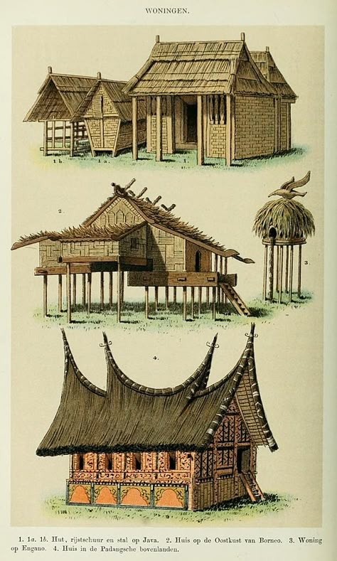 Dutch East Indies Architecture, Ancient History Timeline, Indonesian House, Dutch People, Indonesian Art, Dutch East Indies, Asian Architecture, Outdoor Living Design, East Indies