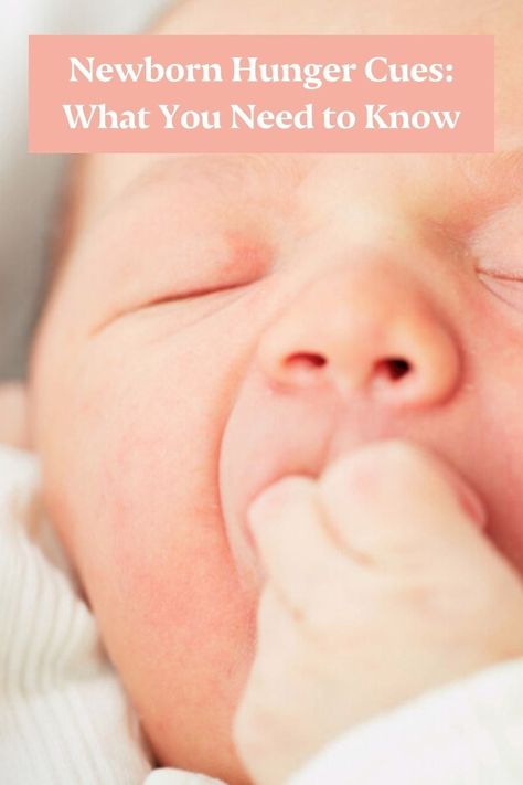 Learning when to feed your baby is a fine art, and it takes patience and practice. Here is what you need to know about newborn hunger cues. #newborn #newbornbaby #hungercues #newparent #newmom Hunger Cues, Very Sleepy, Put On Weight, Baby Chick, Baby Chicks, Breast Milk, New Parents, His Hands, It Takes