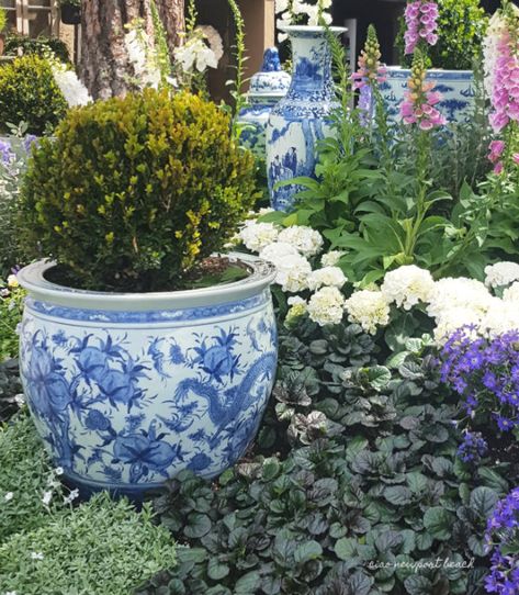 Planter Inspiration, Briar Patch, Tiny Gardens, Island Garden, Green Gardens, Beach Inspiration, Blue White Decor, Cottage Garden Plants, Outdoor Landscape