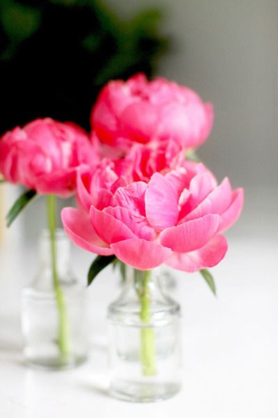 Utilize Single Buds Style Me Pretty Living, Diy Cupcake, Flower Arrangements Diy, Deco Floral, Flower Garlands, Beautiful Blooms, Pink Peonies, Diy Flowers, Love Flowers