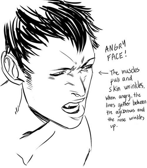 Cassandra Jean Drawing Tips Faces Tutorial, Drawing Wrinkles, Nose Wrinkles, Cassandra Jean, Face Anatomy, Art Advice, Anatomy Tutorial, Nose Drawing, Face Sketch