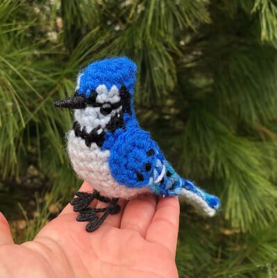 10 Blue Jay Crochet Patterns Crochet Blue Jay, Jay Crochet, Beady Eyes, Crochet Bird, Crochet Bird Patterns, Blue Jay Bird, Crochet Birds, Bird Figure, Fun Crochet Projects