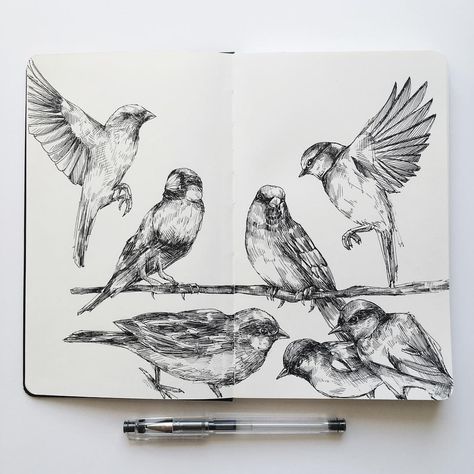 Today, drawing at the park #drawing #ink #tattoo #sketchbook Alfred Basha, Surreal Drawings, Bird Pencil Drawing, Drawing Birds, Bird Sketch, Sketchbook Drawings, Arte Sketchbook, Sketchbook Inspiration, Bird Drawings