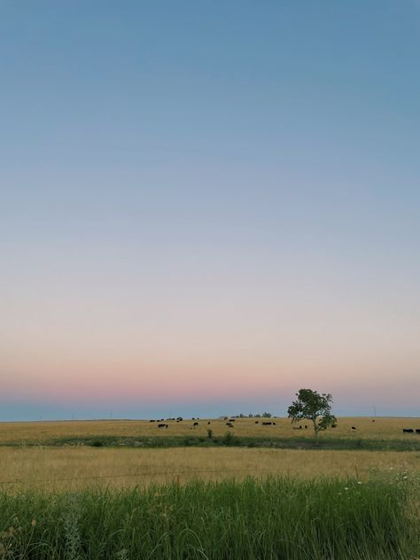 Driving Country Roads Aesthetic, Country Drive Aesthetic, Midwest Suburbs Aesthetic, Illinois Aesthetic Country, Small Midwest Town Aesthetic, Midwest Farm Aesthetic, Midwest Country Aesthetic, Midwest Scenery, Farmland Aesthetic