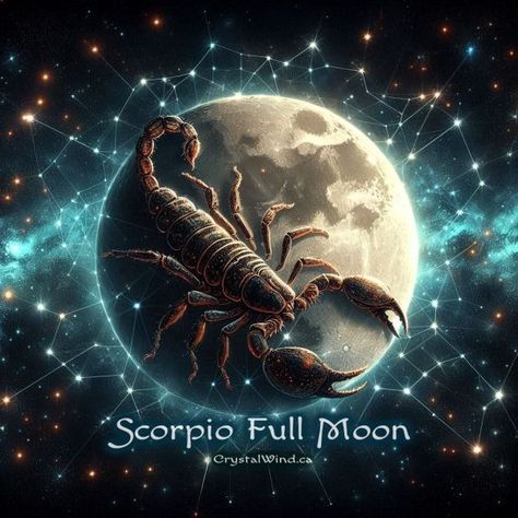 Secrets Revealed: Scorpio Full Moon 2024 Full Moon In Scorpio 2024, Scorpio Pictures, Gemini Sun Scorpio Moon, Scorpio Full Moon, Moon 2024, Full Moon In Scorpio, Sun Scorpio, Gemini Sun, Full Moon Meditation