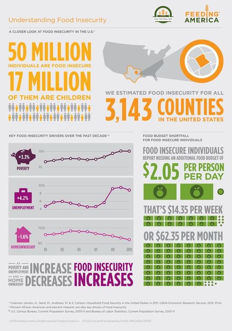 Food Justice, America Food, Food Infographic, World Hunger, Food Insecurity, Feeding America, Corporate Social Responsibility, Food System, Food Security