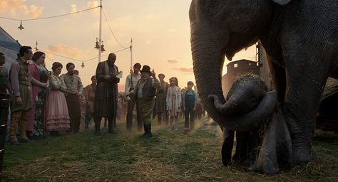 Dumbo 2019, Dumbo Movie, Maze Runner Movie, Arcade Fire, Tim Burton Films, Batman Returns, Danny Devito, Disney Facts, Colin Farrell