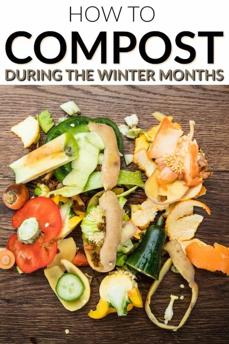 Not only will composting during the winter help to produce fertilizer for your spring gardening efforts, but it can handle more volume than most indoor composters. Composting Tips, How To Start Composting, Start Composting, How To Compost, Composters, Growing Food Indoors, Organic Gardening Pest Control, Winter Vegetables Gardening, How To Make Compost