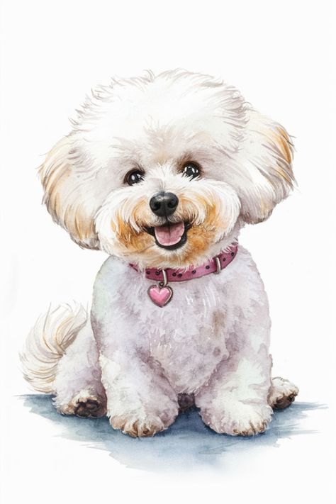 An illustration of a cute white small dog in watercolor. Bichon Frise Drawing, Watercolour Dogs, Bichon Frise Art, Poodle Drawing, Dog Drawing Tutorial, Cute Dog Art, Bichon Poodle, Simple Cat Drawing, Bichon Frise Puppy