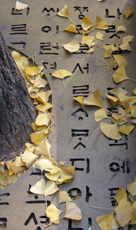 learn to write hangul and speak korean Korean Writing, South Korea Seoul, Learn To Write, Korean Culture, How To Speak Korean, South Korea Travel, Korean Design, Korea Travel, Korean Aesthetic