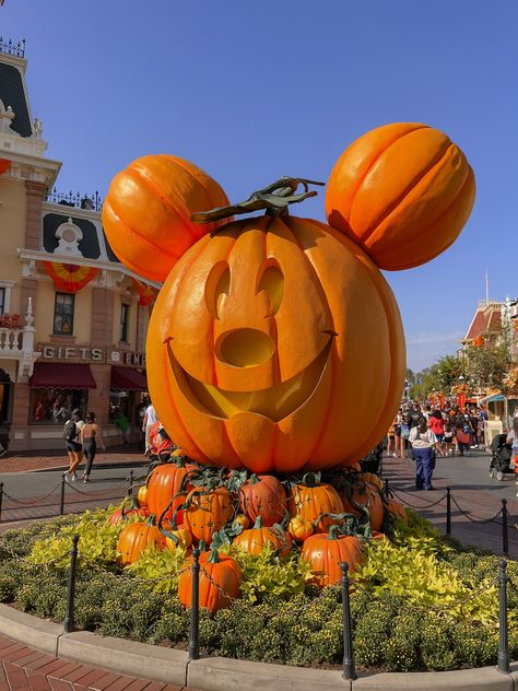 Disneyland Mickey Pumpkin, Disneyland Pumpkin Pictures, Disneyland Paris October, Disneyland Fall Aesthetic, Disney In Fall, Disney World Fall, Disneyland Fall, Disneyland October, Anaheim Disneyland