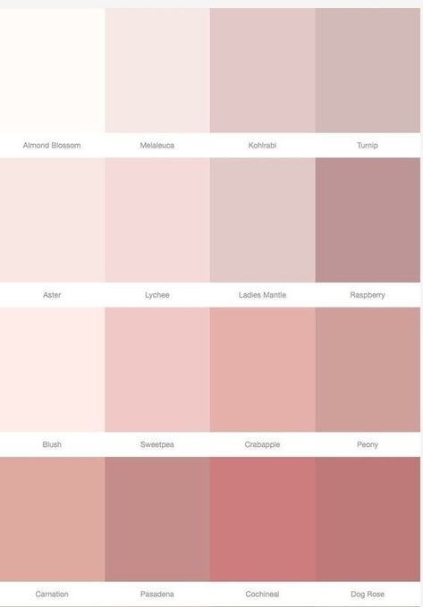 Pastel Girls Room, Wallpaper Rose, Pastel Girl, Deco Rose, Pastel Room, Bedroom Paint Colors, Rose Pastel, Color Palette Design, Girl Bedroom Decor