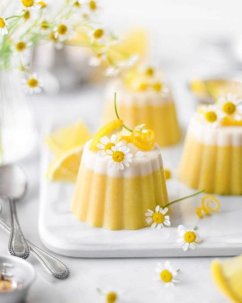 Lemon Panna Cotta, Vegan Panna Cotta, Spring Time Desserts, Mapo Tofu, Squeezed Lemon, Agar Agar, Fancy Desserts, Köstliche Desserts, Cute Desserts