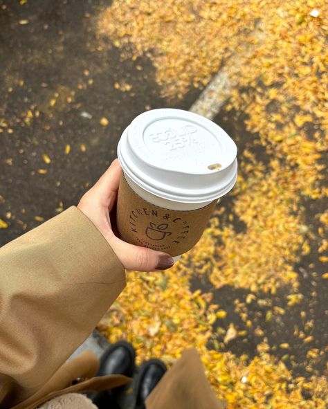 a day upstate + the best chocolate chip cookie I’ve ever had Upstate, upstate New York, nyc, fall, fall aesthetic, fall vibes, fall in New York, fall leaves, fall foliage, fall fashion. #fallleaves #falllooks #upstateny #fallfoliage #upstate #fallaesthetic #fallfashion #fallvibes Coffee Fall Aesthetic, Fall Aesthetic Pumpkin, Cosy Outfits, Fall In New York, Aesthetic Fall Vibes, Gilmore Girls Coffee, Aesthetic Pumpkin, Ootd Autumn, Autumn Ootd