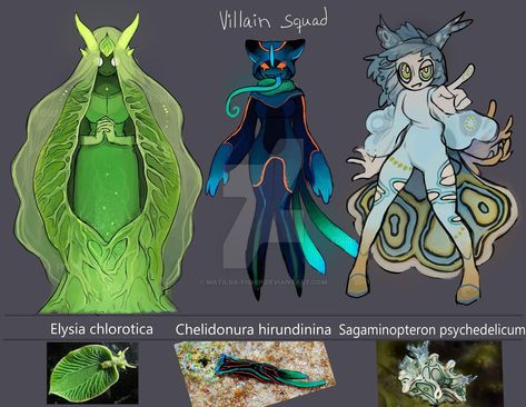 Sea slug villain squad | Gijinka / Moe Anthropomorphism | Know Your Meme Jungle Juice, Sea Slug, Creature Drawings, Mythical Creatures Art, Creature Concept Art, Slug, Creature Concept, Character Design References, Creature Design