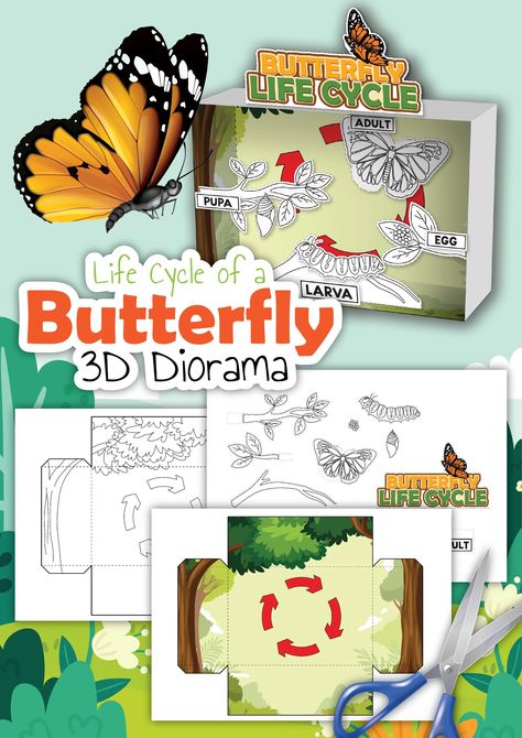 3-D Butterfly Diorama Printable – 24hourprintables.com Life Cycle Diorama, Butterfly Diorama, Shoebox Diorama, Plant Life Cycle Worksheet, 3 D Butterfly, Butterfly Cutouts, Pretend Play Printables, Pumpkin Life Cycle, Butterfly Cutout