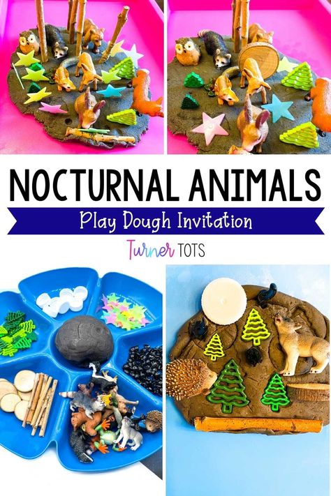 Woodland Animals Eyfs Activities, Night Time Animals Preschool, Night Animals Activities, Nocturnal Preschool Activities, Nocturnal Animal Sensory Bin, Nocturnal Animals Eyfs, Nocturnal Animals Sensory Bin, Preschool Nocturnal Animals Theme, Nocturnal Animals Preschool Activities