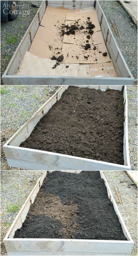 Build up soil in a Raised Garden Bed by adding layers: cardboard; composted manure; planting soil. You can also use shredded paper and composted kitchen scraps in between the layers! Raised Garden Bed Soil, Raised Garden Beds Diy Vegetables, Building Raised Garden Beds, Vegetable Garden Raised Beds, Building A Raised Garden, Diy Raised Garden, Raised Garden Beds Diy, Garden Maintenance, Soil Layers