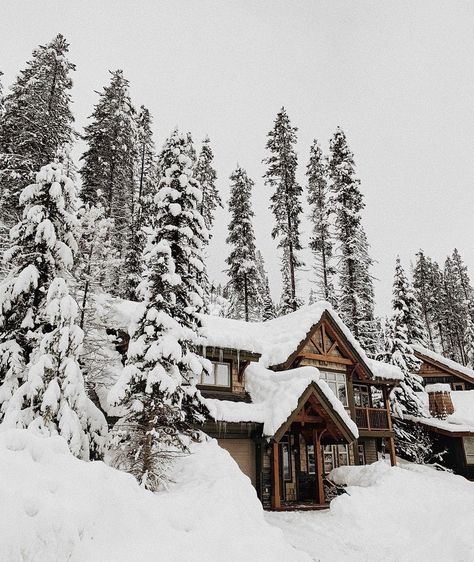 Three Swedish Mountain Men, The Simple Wild, Alaska Winter, Snowy Cabin, Legend Of Zelda Characters, Mountain Men, Small Town Romance, Gold Book, Winter Cabin