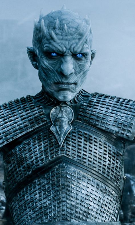 How Can You Kill a White Walker on Game of Thrones? Night King Costume, Game Of Thrones Illustrations, Drogon Game Of Thrones, Game Of Thrones Tattoo, Game Of Thrones Poster, Ned Stark, Game Of Thrones Quotes, The Longest Night, White Walker