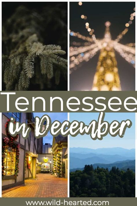 Are you headed to Tennessee for the holidays this year? There are tons of great activities and events to check out during the winter months and holidays! From Nashville to Memphis and Chattanooga to the Smoky Mountains there is no shortage of twinkling lights and visits with Santa! Tennessee vacation | Tennessee in winter | tennessee in december | nashville winter activities | tennessee chrismtas | tennessee christmas vacation Things To Do In Nashville In December, Tennessee In Winter, Nashville In December, Nashville Winter, Gatlinburg Tennessee Restaurants, Tennessee Winter, Things To Do In Tennessee, Gatlinburg Tennessee Cabins, Tennessee Restaurants