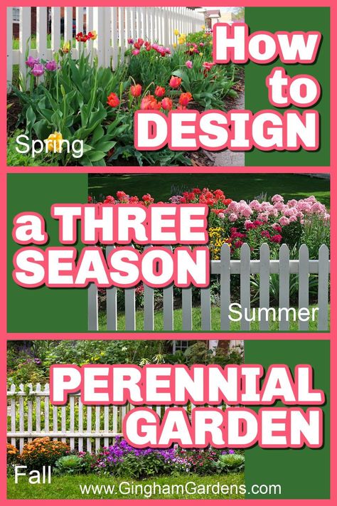 Discover the art, science, and beauty of designing a 3-season perennial garden. In this comprehensive guide, we unravel the secrets for creating a harmonious balance of vibrant spring blooms, colorful summer blossoms, and captivating fall foliage. Stop by Gingham Gardens and get your printable, easy-to-follow guide and workbook for planning your flower garden with perennials that bloom spring, summer and fall. 4 Season Flower Bed, Flower Garden That Blooms All Year, Three Season Flower Bed, Spring To Fall Perennial Garden, 3 Season Perennial Garden Plans, Planning A Flower Garden Layout, Perennials That Bloom Spring To Fall, 3 Season Garden Plan, Dyi Garden