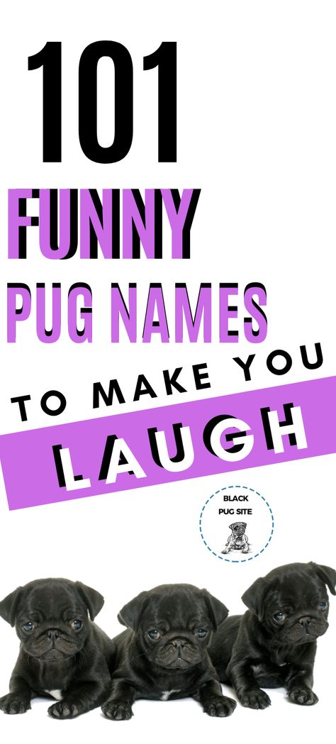 This list of dog name ideas contains hilarious girl and boy names that are not only funny, but very cute. Funny Puppy Names, Funny Dog Names Boy, Girl Pug Names, Funny Names For Dogs, Funny Boy Names, Funny Girl Names, Cool Dog Names Boys, Clever Dog Names, Funny Pet Names