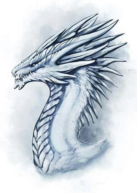 Ice dragon... Ty pam :) Dragon Illistrations, Ice Dragon Drawing, Ice Dragon Art, Ice Wyvern, Smaug Tattoo, Got Dragons, Ice Dragon, Dragon Tales, Dragon Sketch