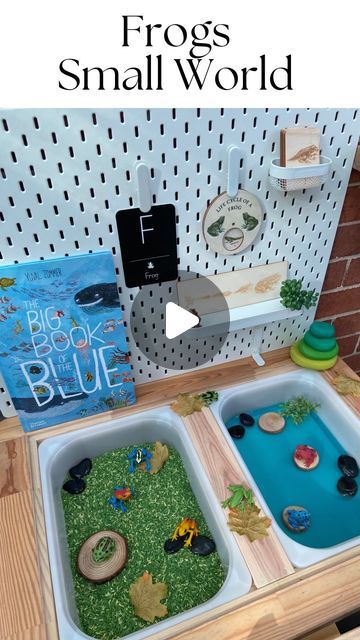 Anthea | Early Learning Play | •FROGS SMALL WORLD•  🐸 🐸 🐸 🐸 🐸 🐸 🐸   Only last month I set up a frog sensory experience that Mr3 absolutely love... | Instagram Frog Sensory Play, Infant Classroom, Sensory Experience, A Frog, Sensory Bins, Big Book, Play To Learn, Sensory Play, Last Month