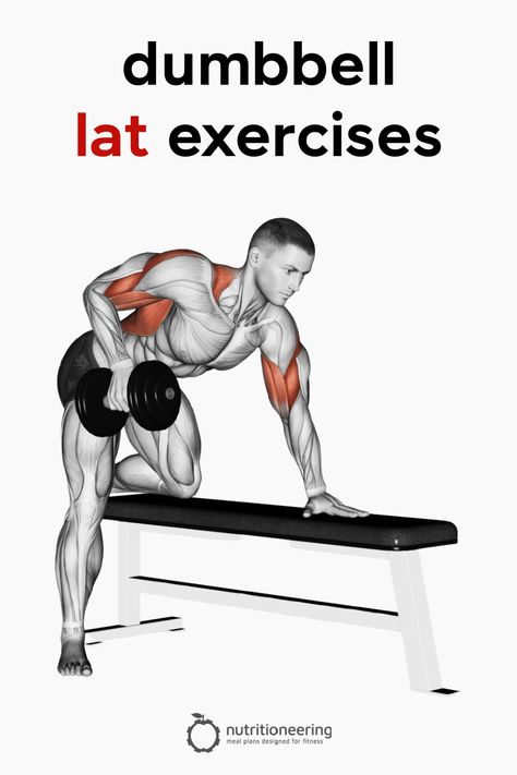 Barbell Lat Workout, Dumbell Lat Workout, Lats Exercises With Dumbbells, Dumbbell Lat Exercises, Lats Workout Dumbbell, Lat Strengthening Exercises, Lat Exercises With Dumbbells, Exercises For Lats At Home, Lat Muscle Workout