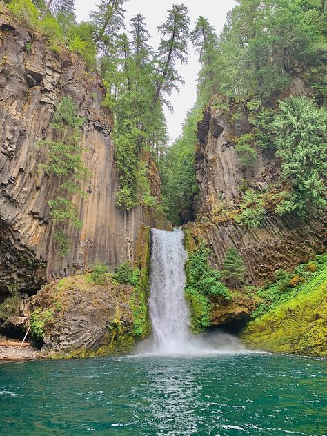 Toketee falls trail in Oregon Pretty Places In Oregon, Waterfall Oregon, Toketee Falls, Live Off Grid, Oregon Aesthetic, Living Off Grid, Oregon Summer, Klamath Falls Oregon, Oregon Nature