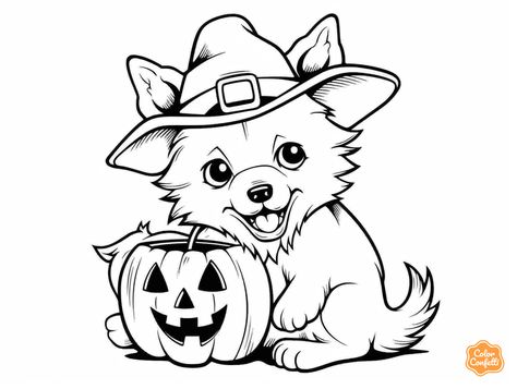 illustration of Halloween dog color page Halloween Dog Coloring Pages, Werewolf Coloring Pages, Mandala Turtle, Dog Coloring Page, Halloween Dog, Halloween Coloring Pages, Fantasy Fairy, Dog Halloween, Halloween Coloring