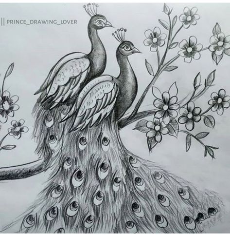 Peacock Sketch, Peacock Drawing, Pencil Drawing Images, Elephant Drawing, Pen Art Drawings, Peacock Painting, African Art Paintings, Dark Art Tattoo, Madhubani Art