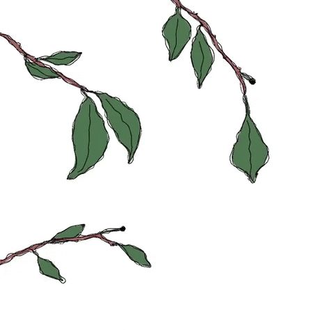 Leaves Sketch, Plant Sketches, Camellia Flowers, Gif Art, Animation Illustration, Indian Wedding Couple, Animation Artwork, Graphics Animation, Design Line