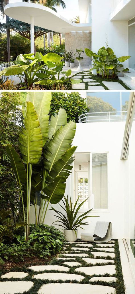 Entry Landscaping, Luigi Rosselli, Landscaping Architecture, George Reeves, 1960s House, Oscar Niemeyer, Tropical House, The Architect, Tropical Houses