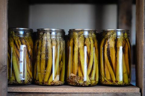 The Best Pickled Asparagus Recipe | The Elliott Homestead (.com) Pickled Asparagus Recipe Canning, Best Pickled Asparagus Recipe, Asparagus Bread, Pickled Asparagus Recipe, Canning Asparagus, Easy Dill Pickle Recipe, Pickled Peaches, Shaye Elliott, Pickle Vodka